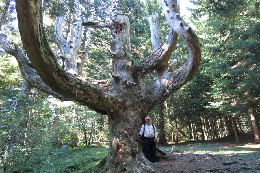 IMG_3567 - Copia.jpg